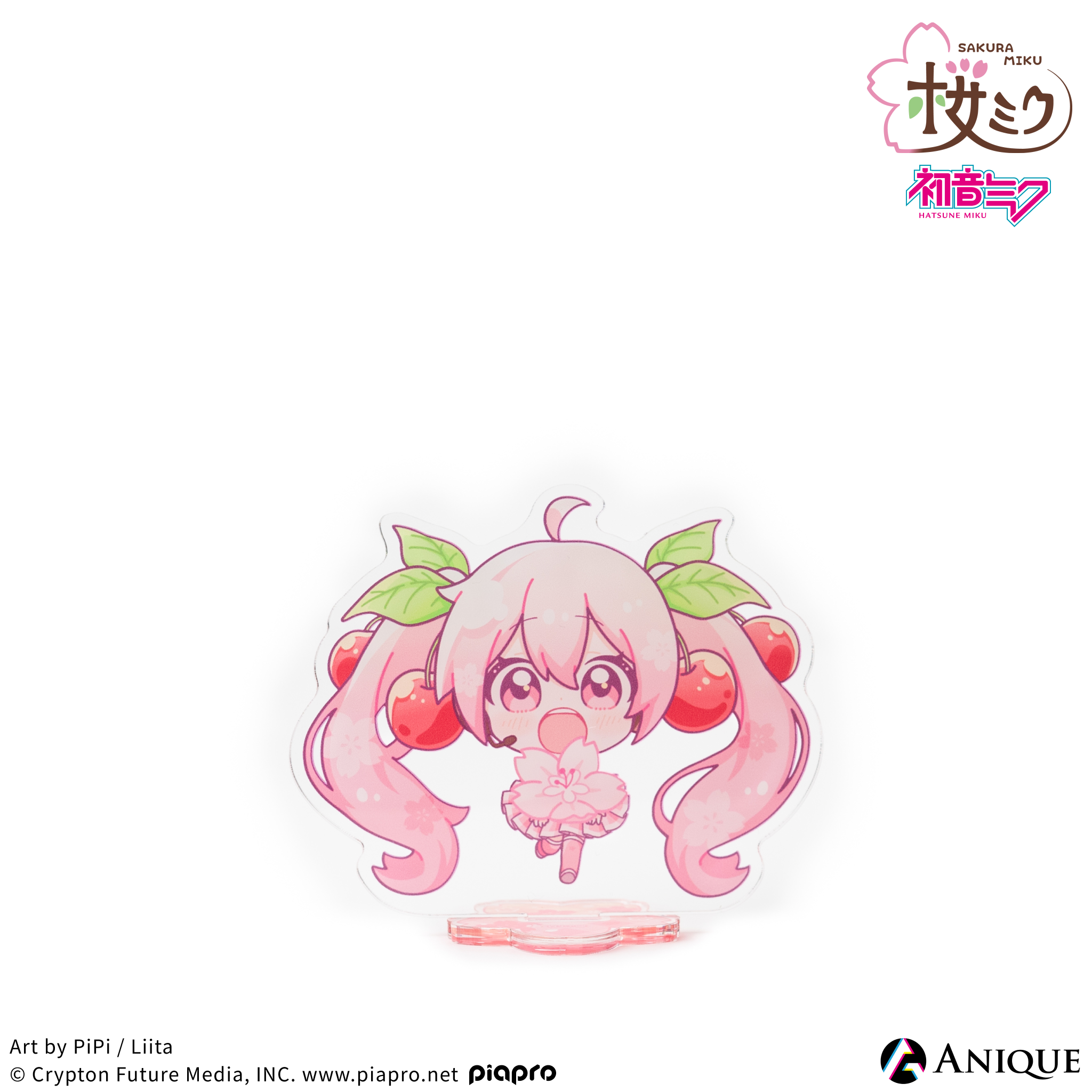 skmk_acsta-3.png